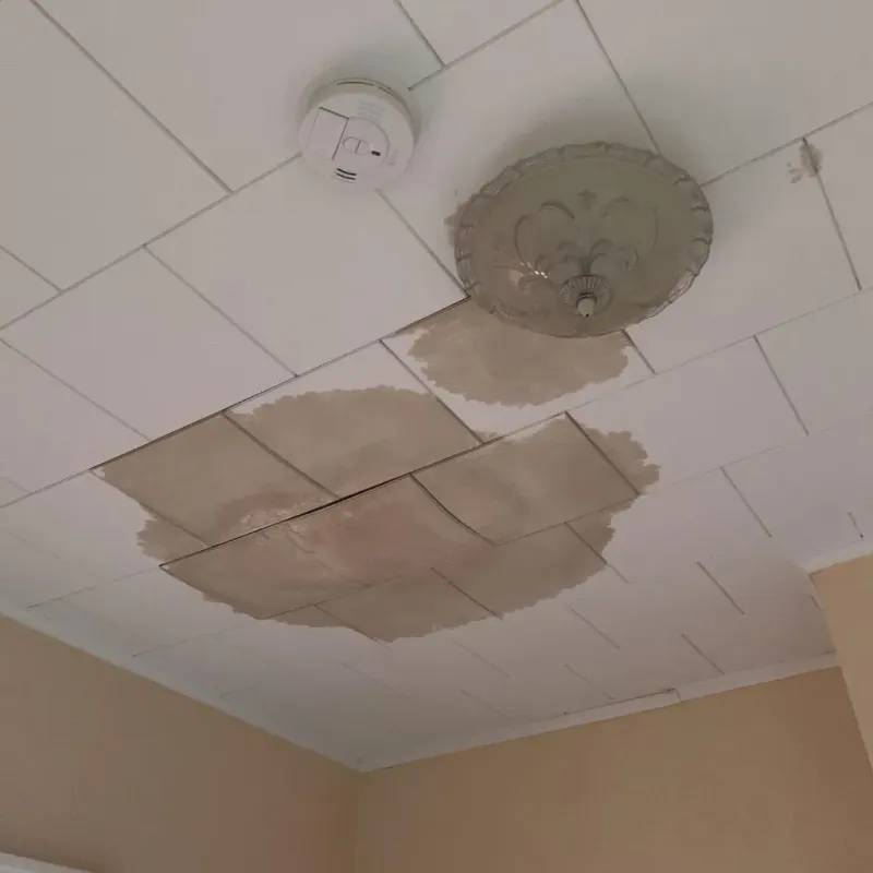 Ceiling Water Damage Repair in Trappe, PA